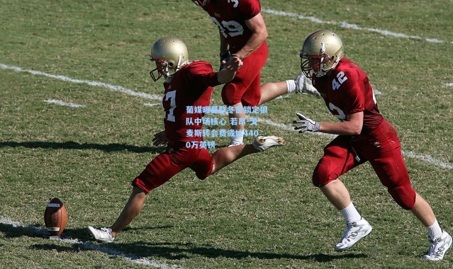 葡媒曝曼联冬窗锁定狼队中场核心 若昂-戈麦斯转会费或达4400万英镑