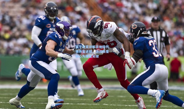 医学专家详解吕迪格伤情恢复进程，强调极度耐心为康复关键