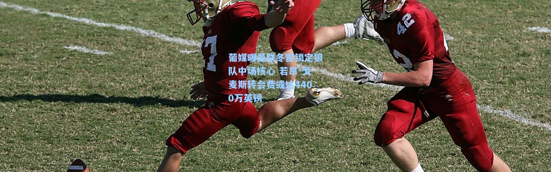 葡媒曝曼联冬窗锁定狼队中场核心 若昂-戈麦斯转会费或达4400万英镑