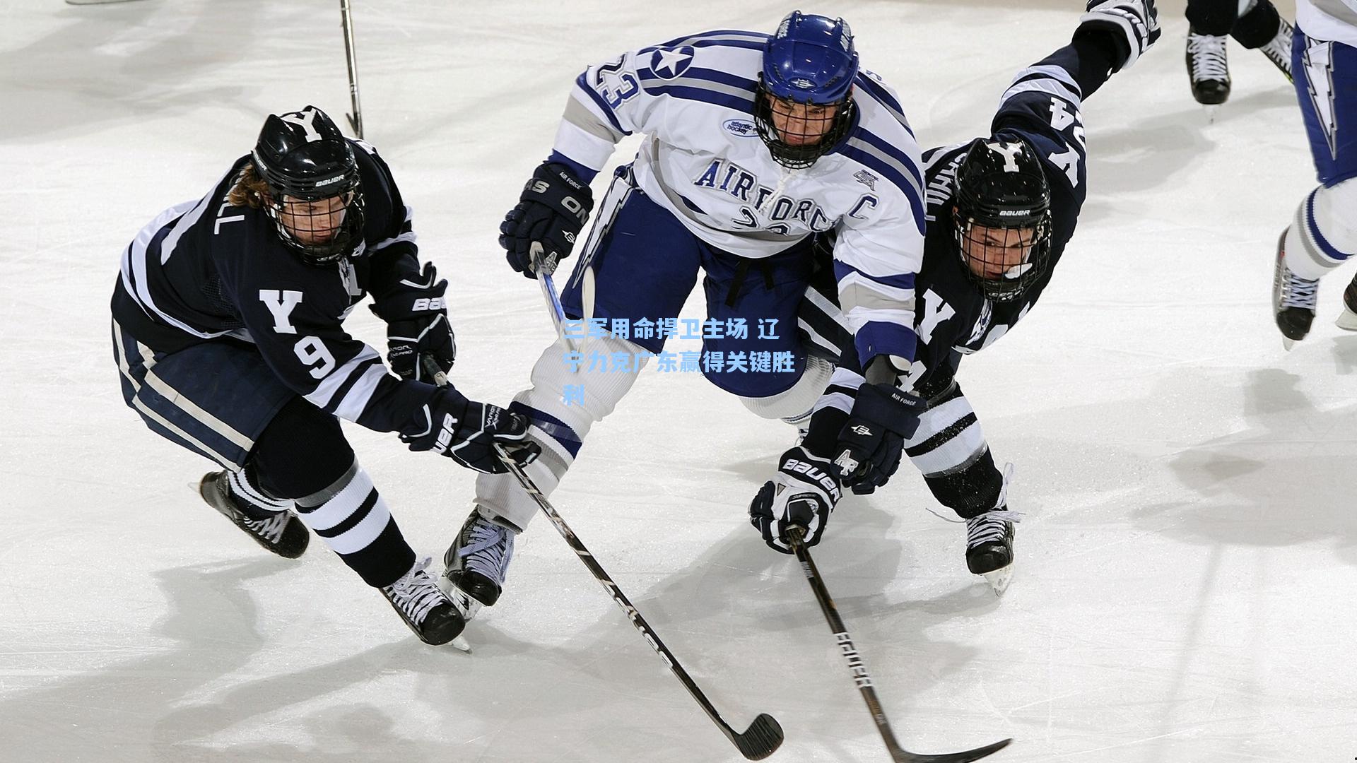 三军用命捍卫主场 辽宁力克广东赢得关键胜利